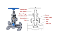 VAN CẦU - GLOBE VALVE