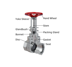 Gate valve (Van cổng)