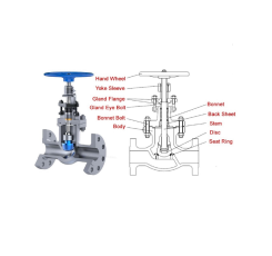 Globe valve (Van cầu)