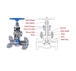 Globe valve (Van cầu)