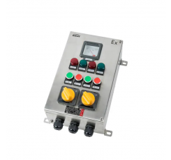 ZXF8044 Explosion Proof Corrosion Resistance Control Panels (IIC,TD