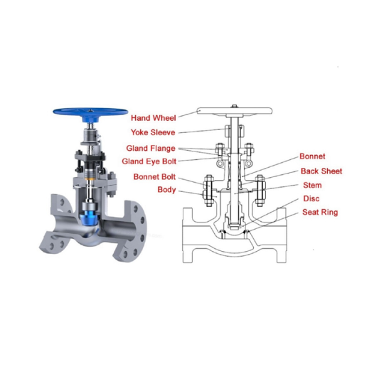 Globe valve (Van cầu)