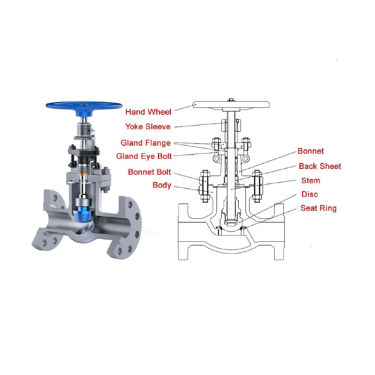 Globe valve (Van cầu)