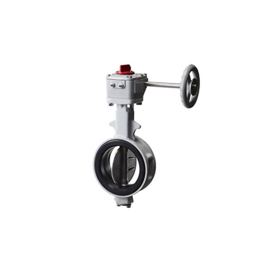 Butterfly valve (Van bướm)