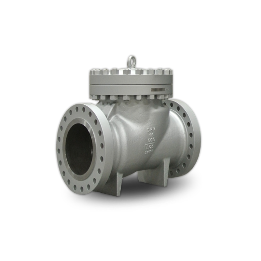 Check valve (Van một chiều)