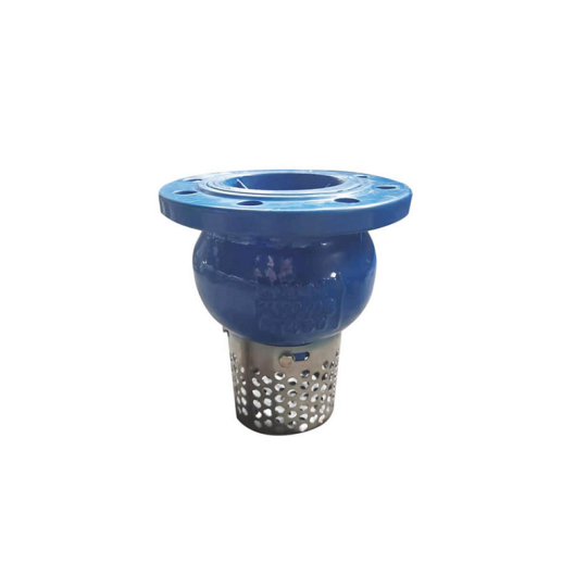 Foot Valve (Van chân)