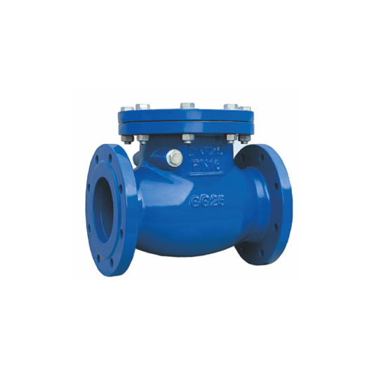 Check valve (Van một chiều)