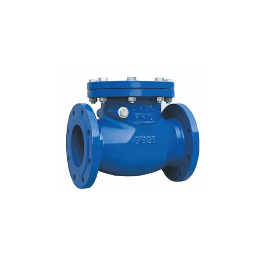 Check valve (Van một chiều)
