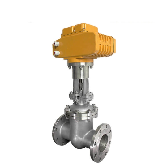 Gate valve (Van cổng)