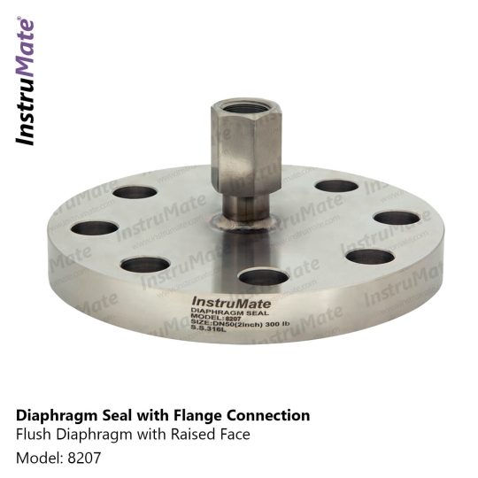 Flange Diaphragm Seal Model 8207