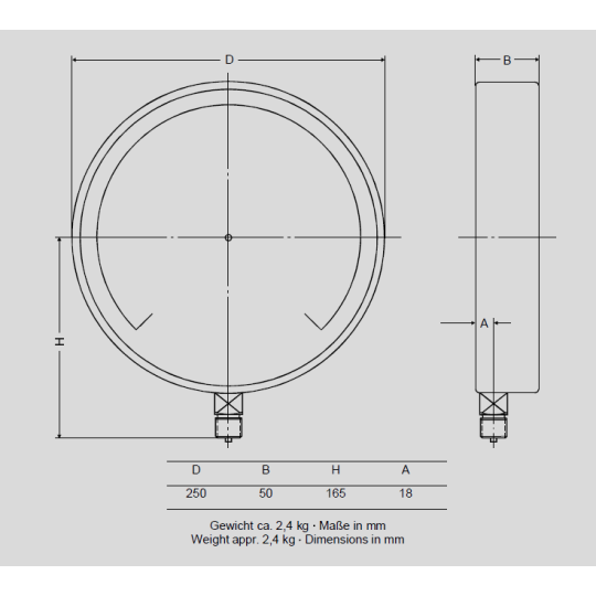 TEST GAUGE SCHMIERER MODEL F250