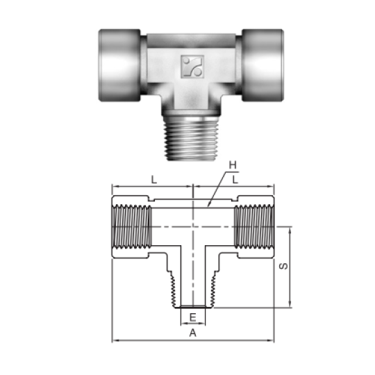 IBT Series