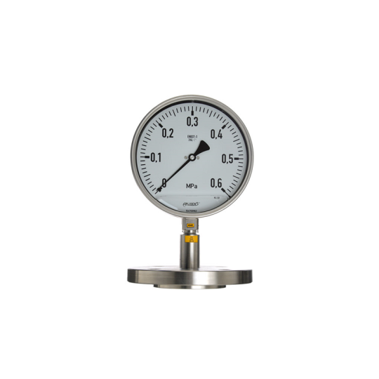 ĐỒNG HỒ ÁP SUẤT DẠNG MÀNG APLISENS MODEL MS-100