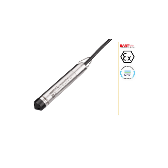 CẢM BIẾN ĐO MỨC APLISENS MODEL SGE-25.Smart and SGE-25S.Smart