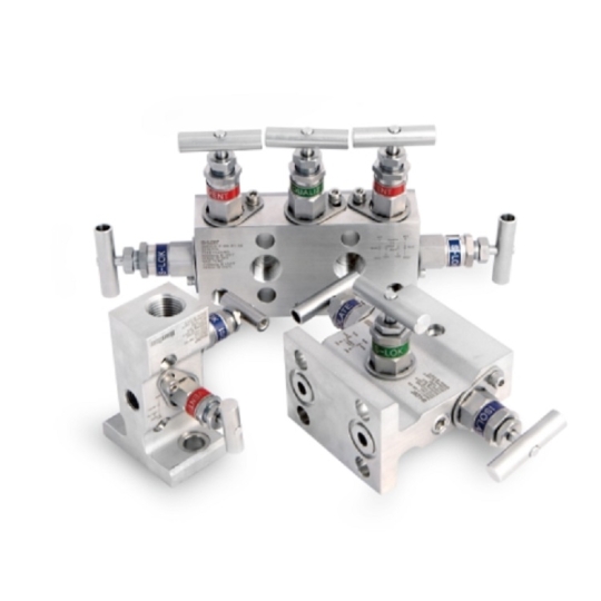 SMV Series Manifold Valves