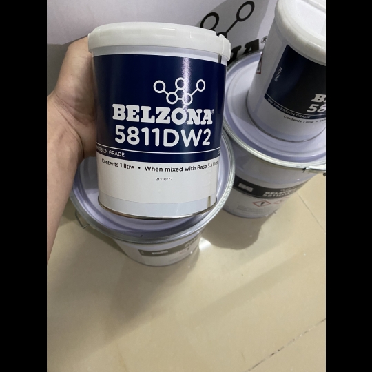 Belzona 5811 DW2